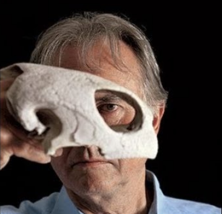 Image illustrant Richard Dawkins