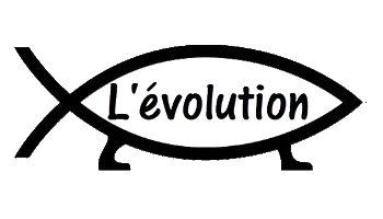 Évolution