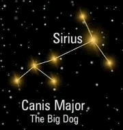 Sirius (illustration)