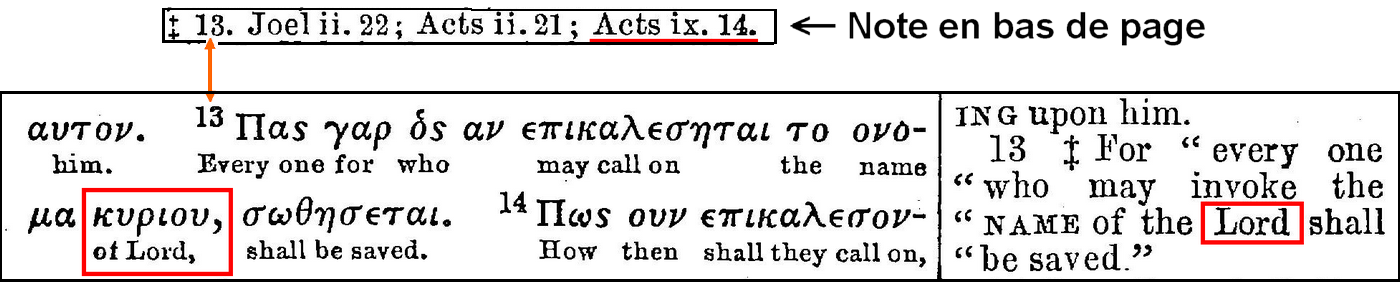 Diaglott-Rm-10-13-closer