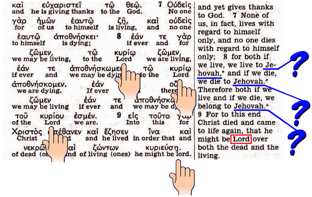 KIT-Rm-14-7-9-closer