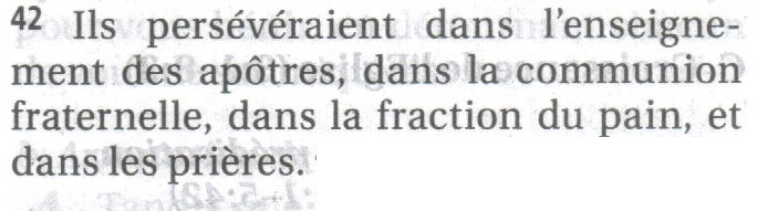 La Sainte Bible – John MacArthur – Actes 2:42 détail